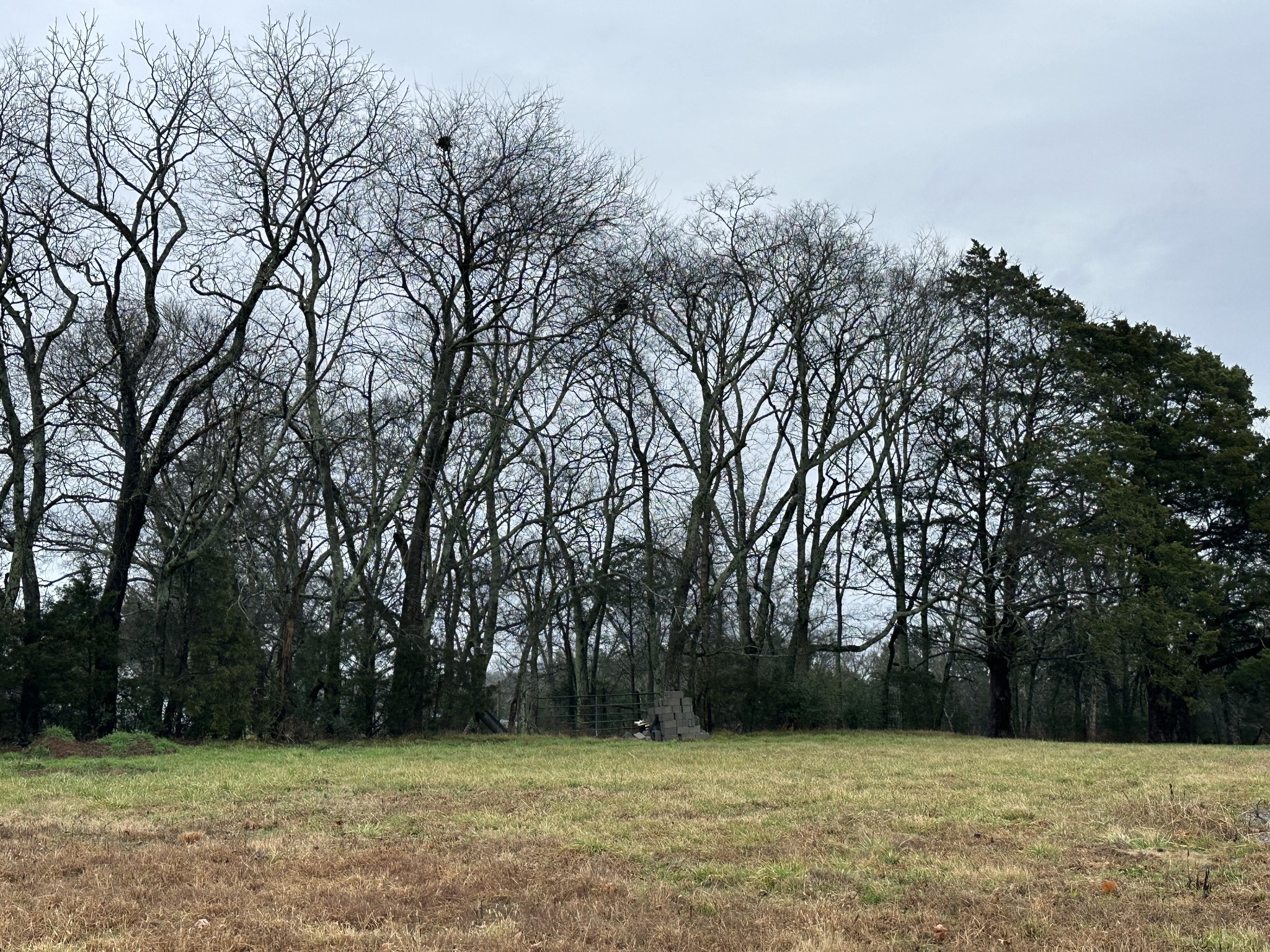 1505 Martha Washington Way