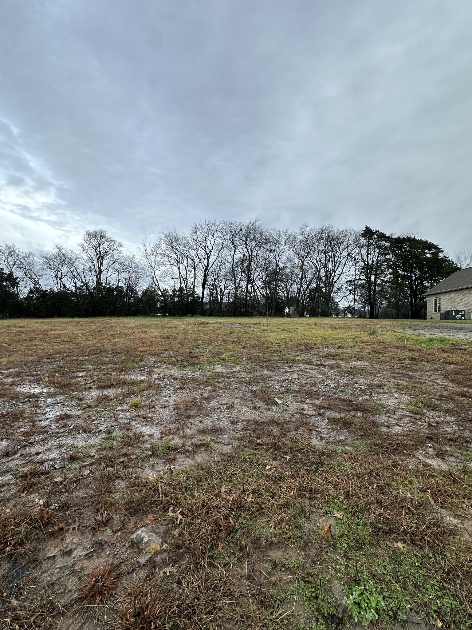 1505 Martha Washington Way