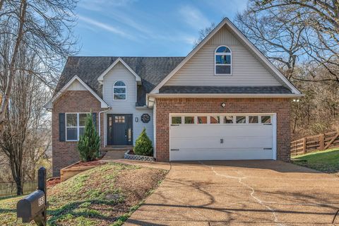 253 Burgandy Hill Rd Nashville TN 37211