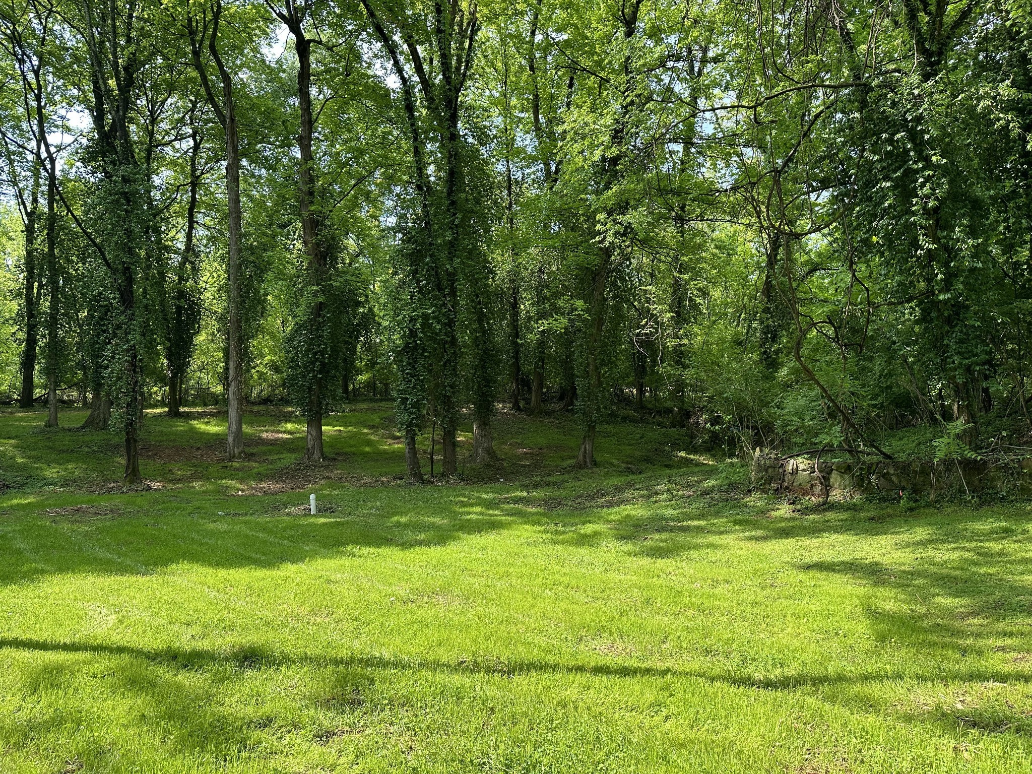1421 Riverside Dr