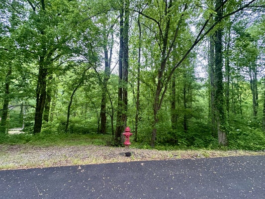BAYMONT DR, LANCASTER, TN 38569 - Image 31e84a863cb2eafa64825670bf0fdf65/2602434239
