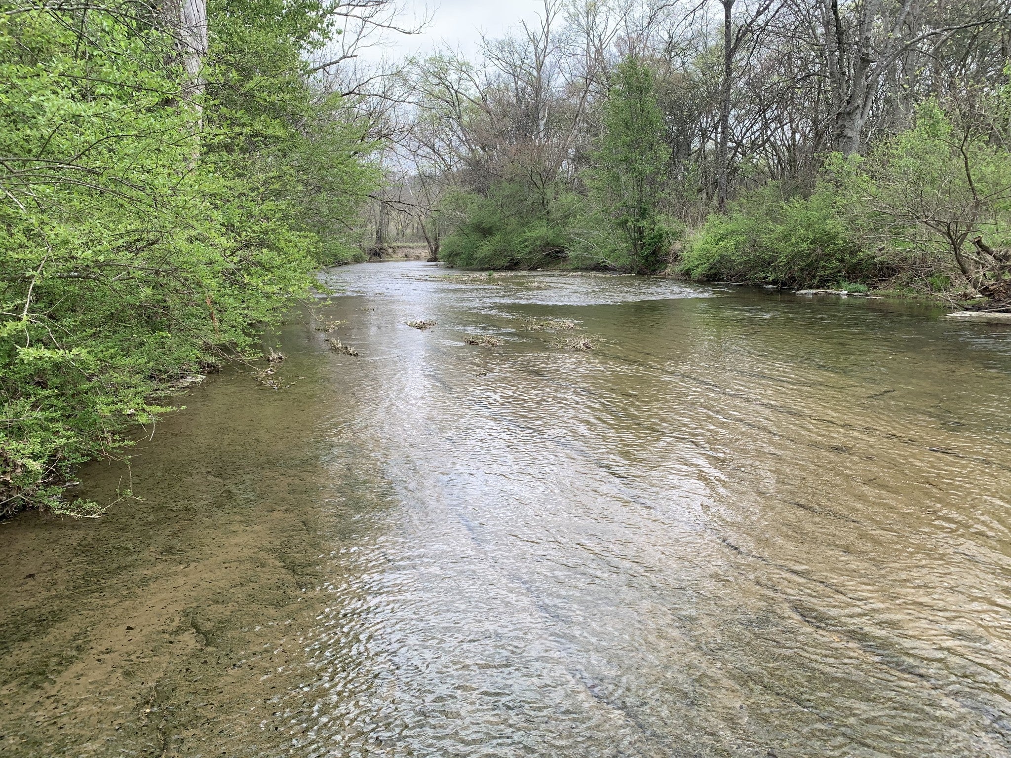 137 Factory Creek Rd