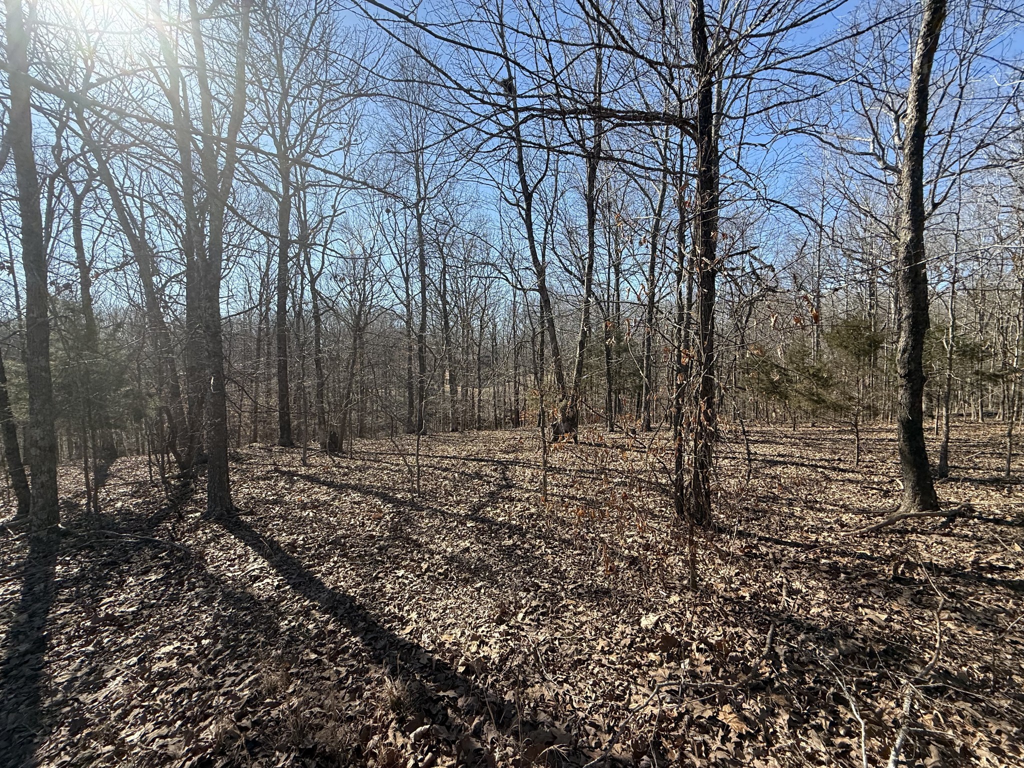 30 Backwoods Estates