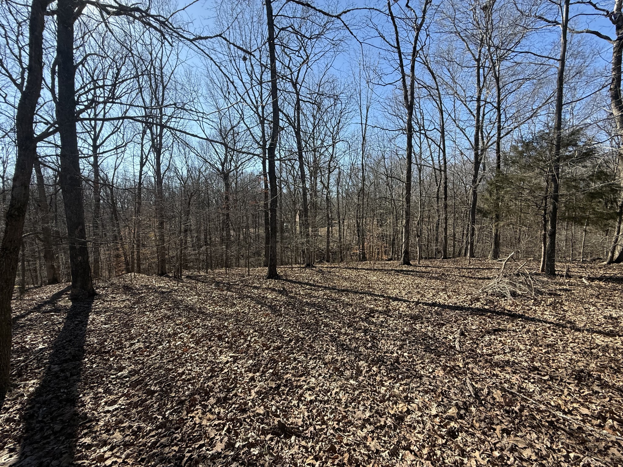 30 Backwoods Estates