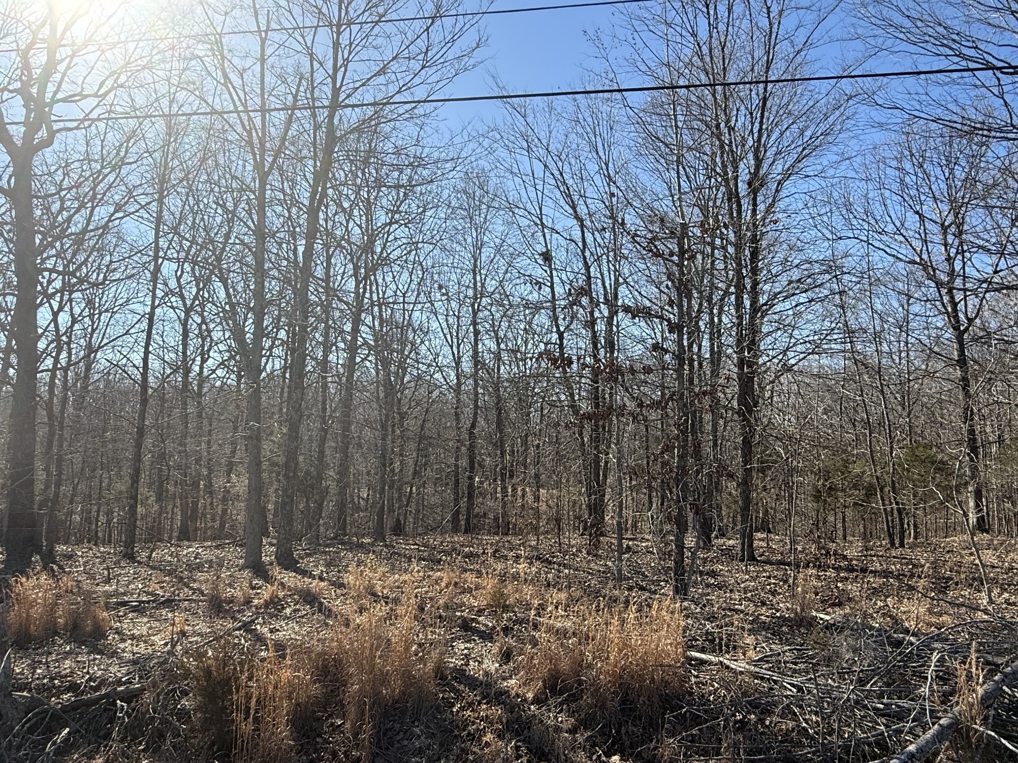 30 Backwoods Estates