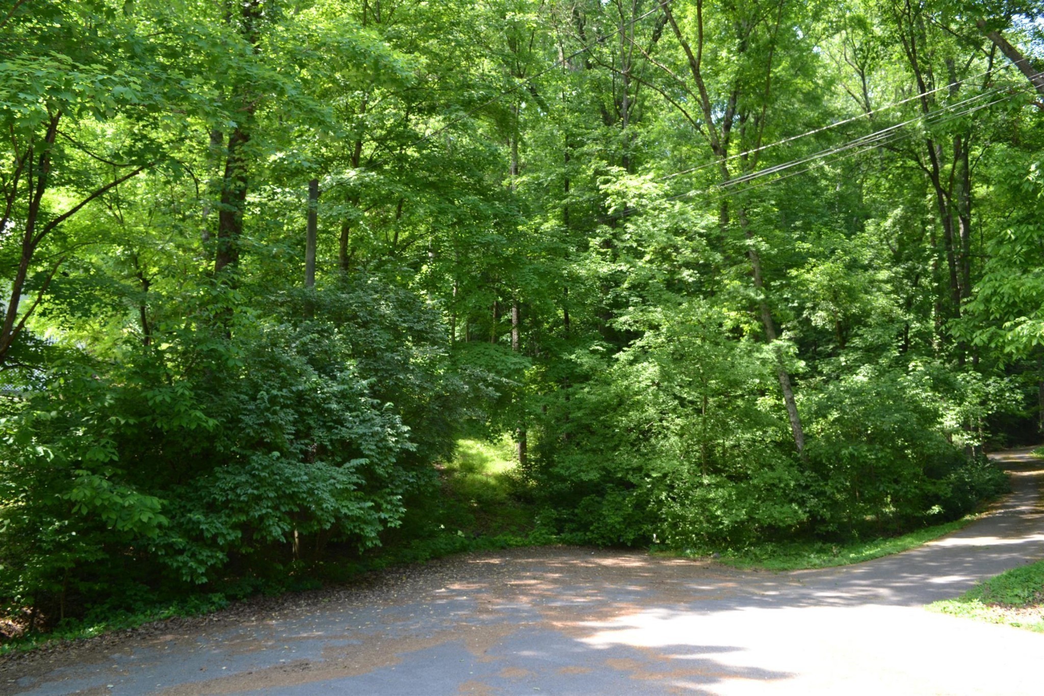 1021 Harpeth Valley Ct