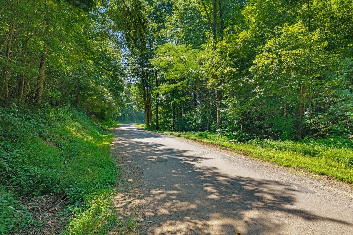 0 Randolph Fridley Road