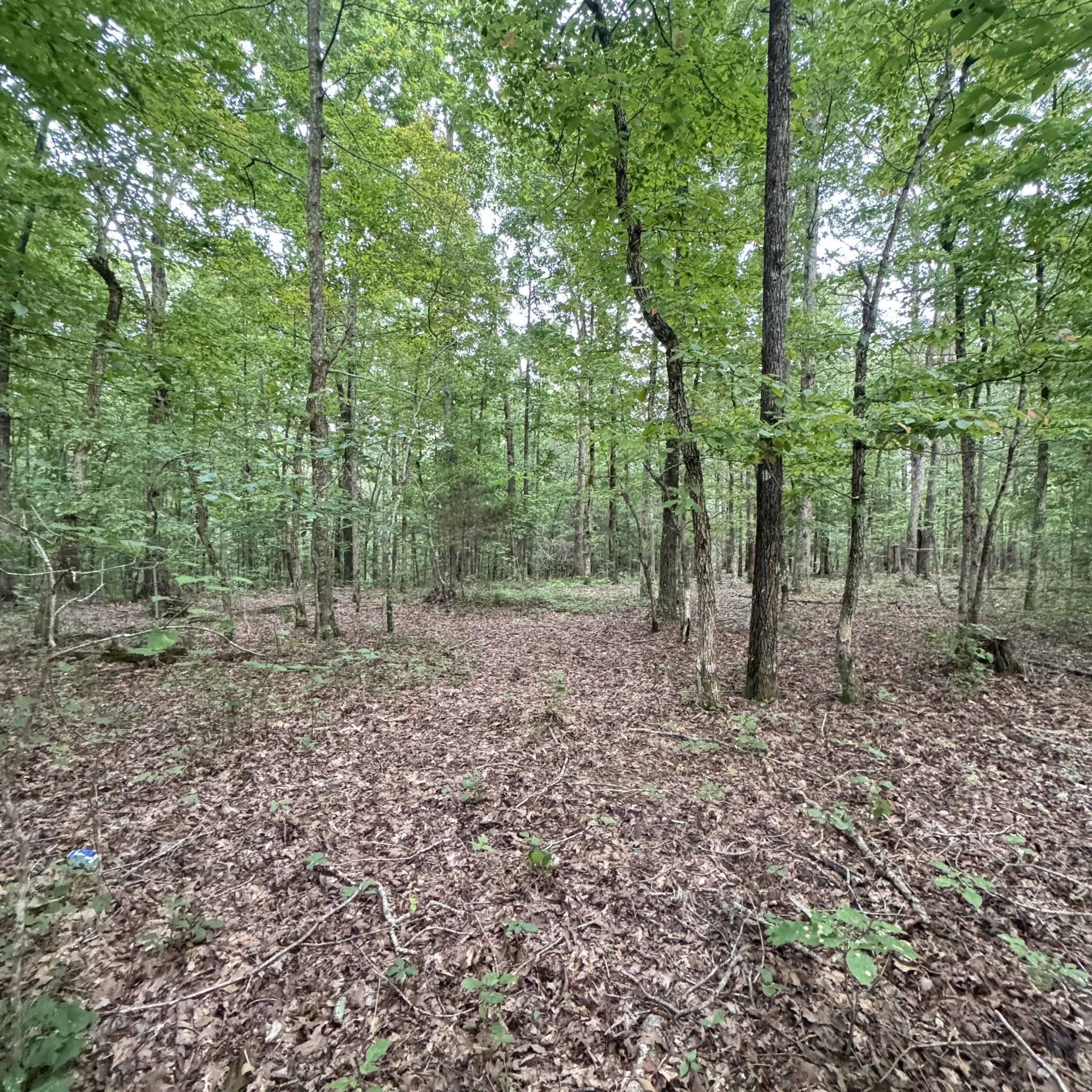 5 Tummins Rd