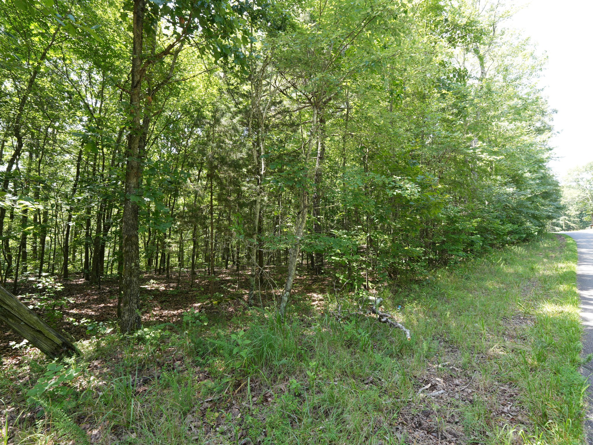 5 Tummins Rd