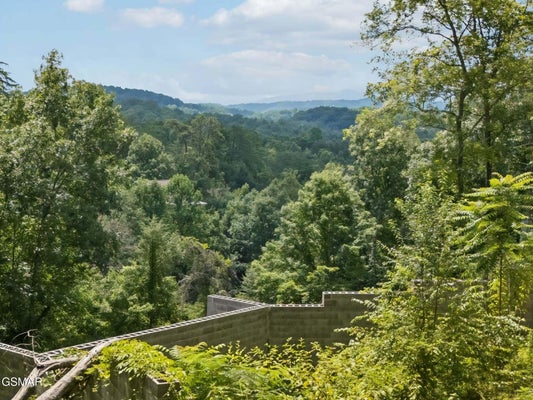 1738 BASSETT WAY, SEVIERVILLE, TN 37876 - Image 3286a482dfdb22cf01149062da21fc73/3691617779