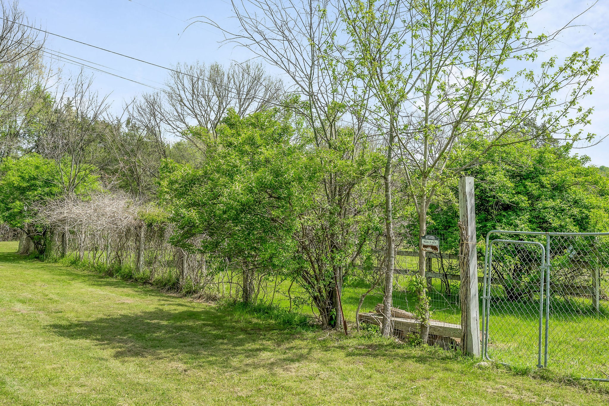 134 Opossum Hollow Rd