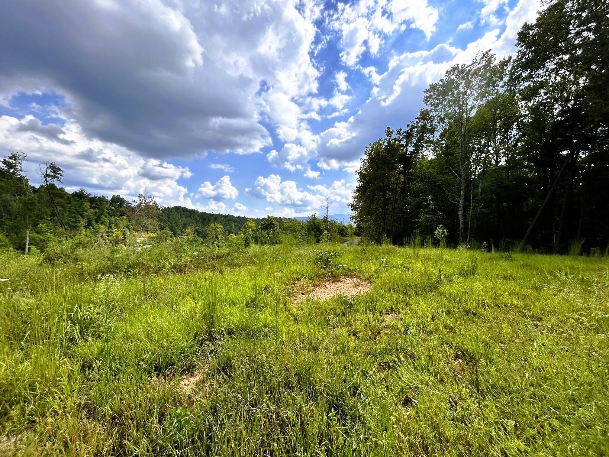 107 Chestnut Mountain Road