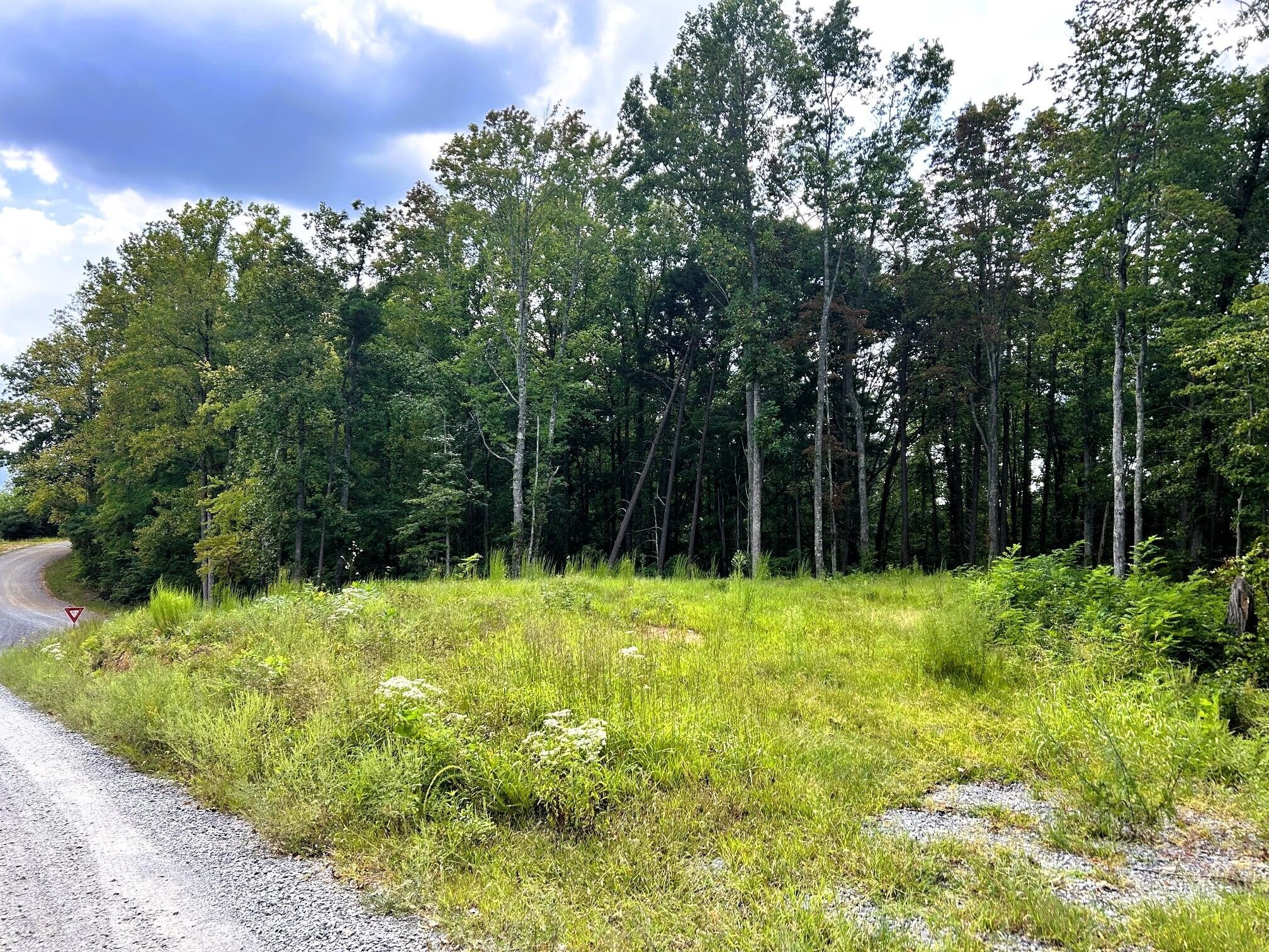 107 Chestnut Mountain Road