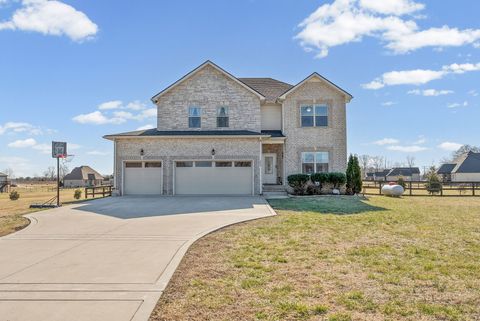 2810 Jim Taylor Rd Woodlawn TN 37191