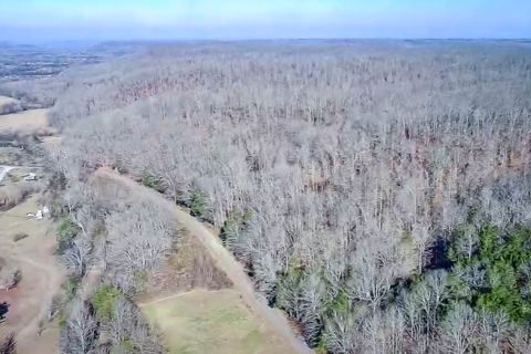 0 Hwy 128 Linden TN 37096