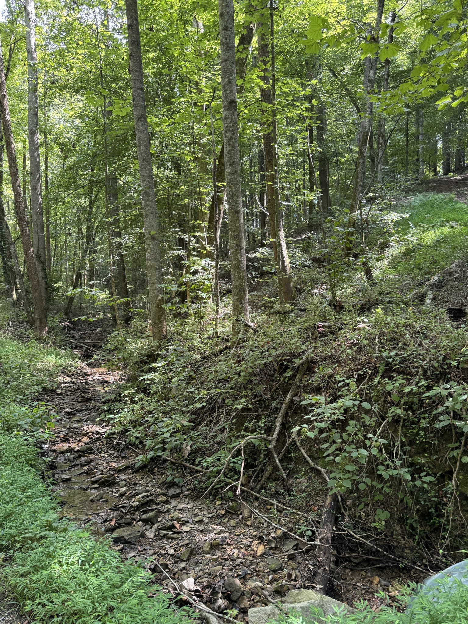 0 Albert Fentress Rd