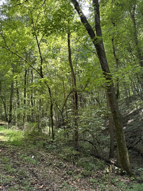 0 Albert Fentress Rd Greenbrier TN 37073