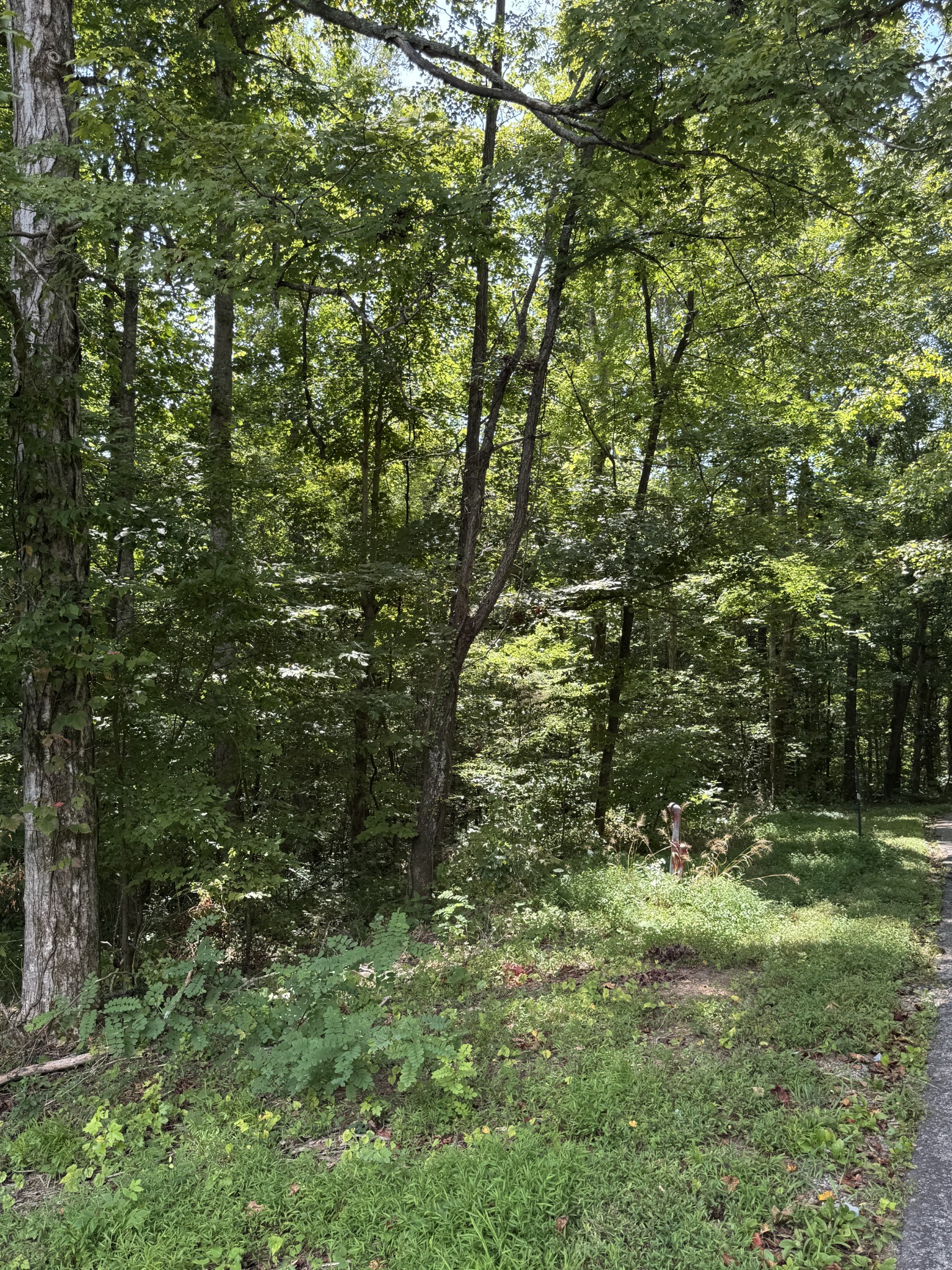 0 Albert Fentress Rd