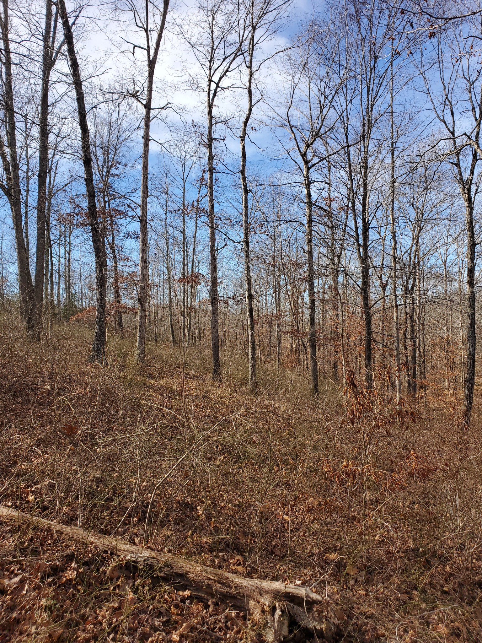 0 Hidden Highlands Ct