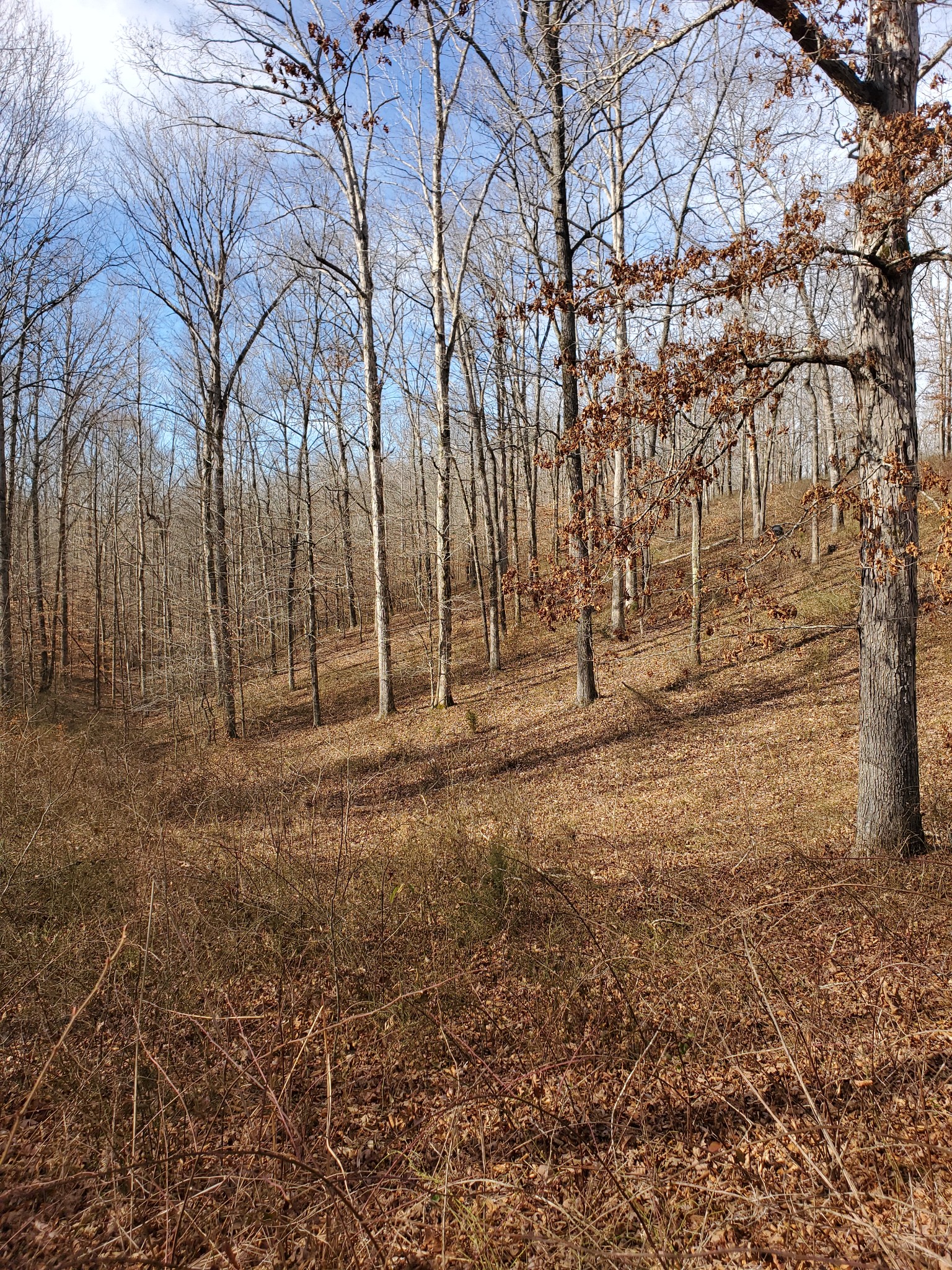 0 Hidden Highlands Ct