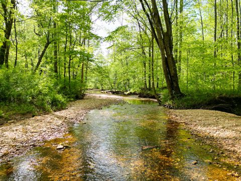 2 Cave Branch Dickson TN 37055