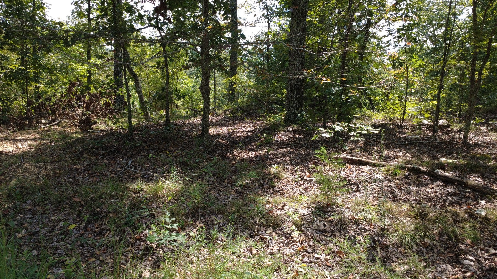 0 Hogg Hill Rd