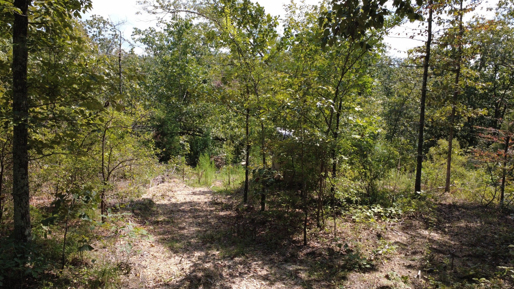 0 Hogg Hill Rd