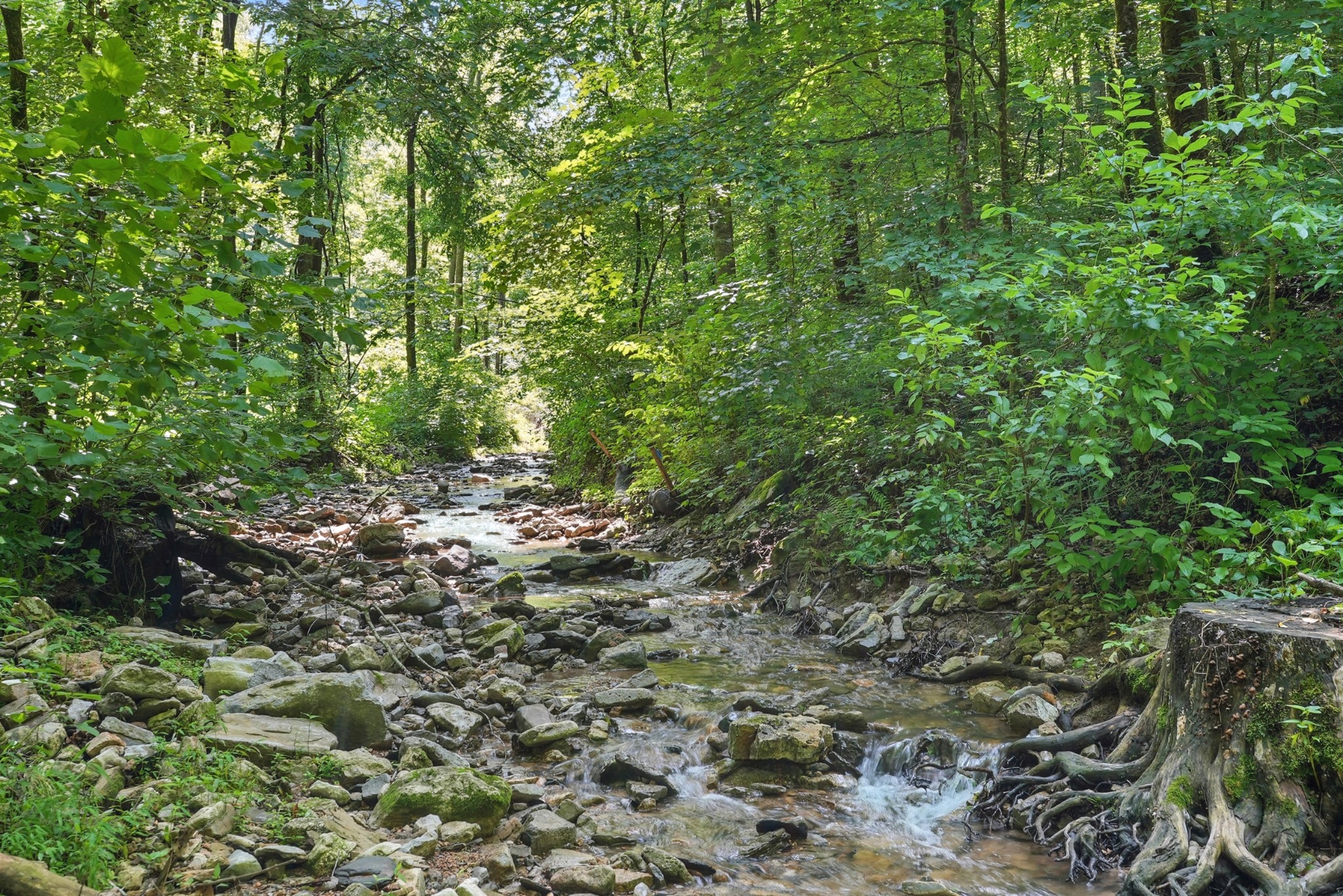 4006 Stones River Rd