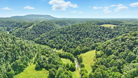 4006 Stones River Rd Woodbury TN 37190