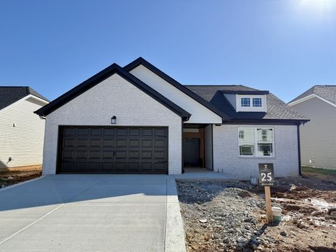 1117 Javier Dr Springfield TN 37172