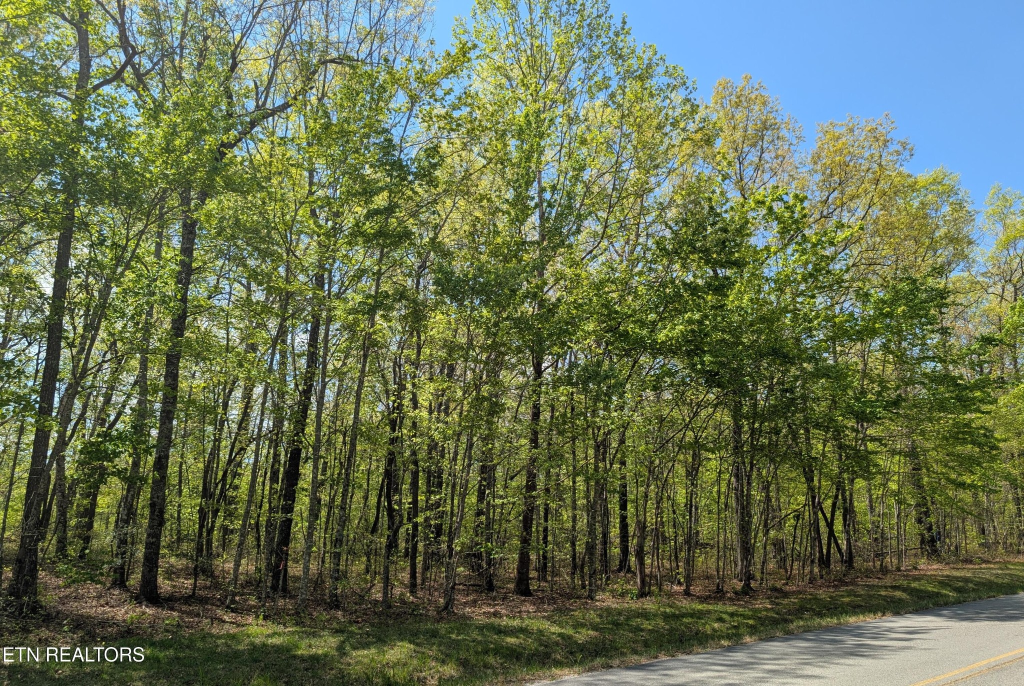 0 Cumberland Lakes Drive