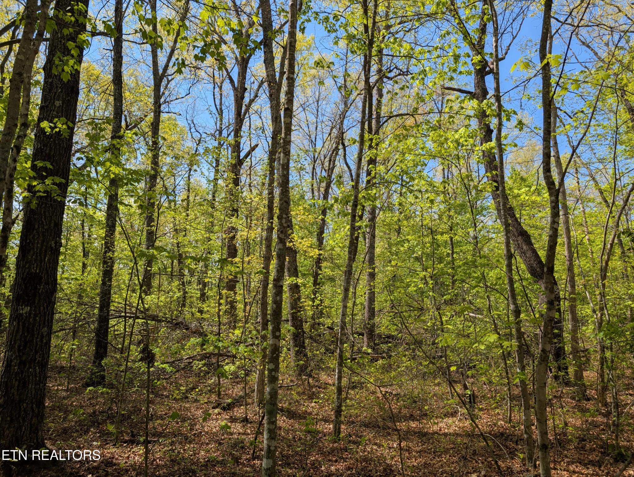 0 Cumberland Lakes Drive