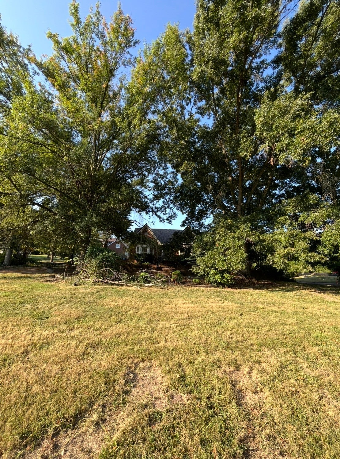 1715 Andrew Crockett Ct
