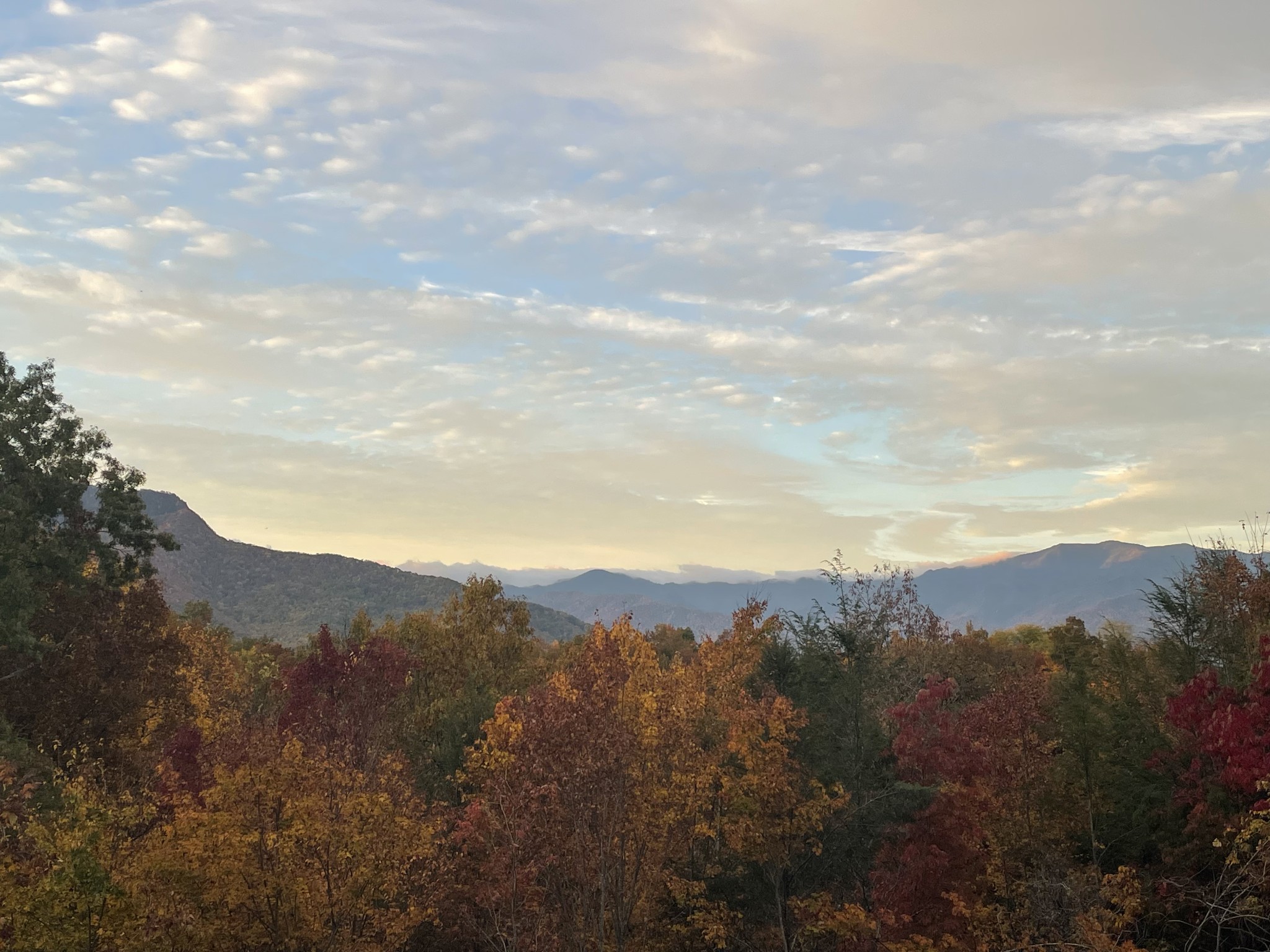 630 Big Bear Ridge Rd