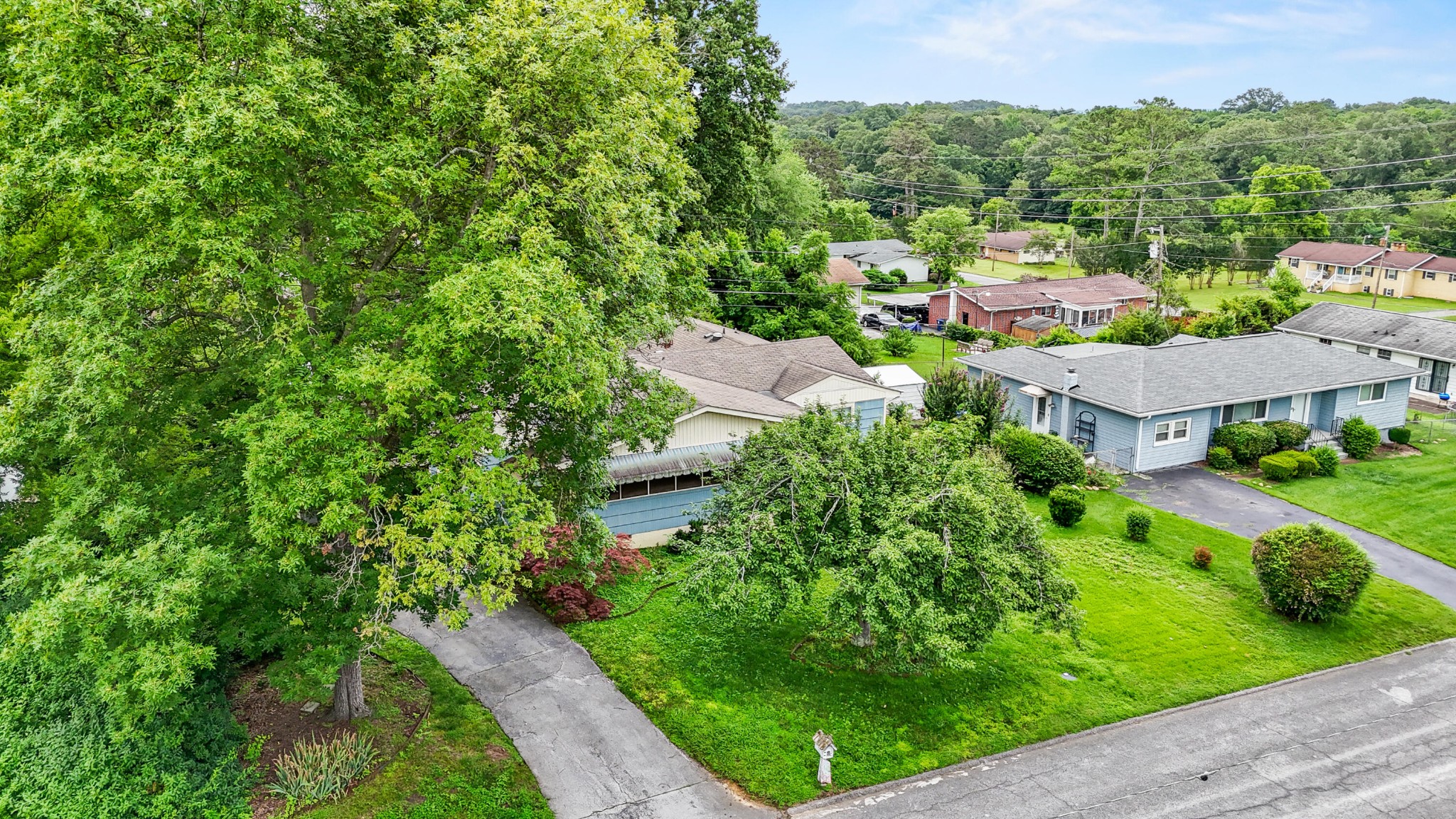 3841 Rollingwood Drive