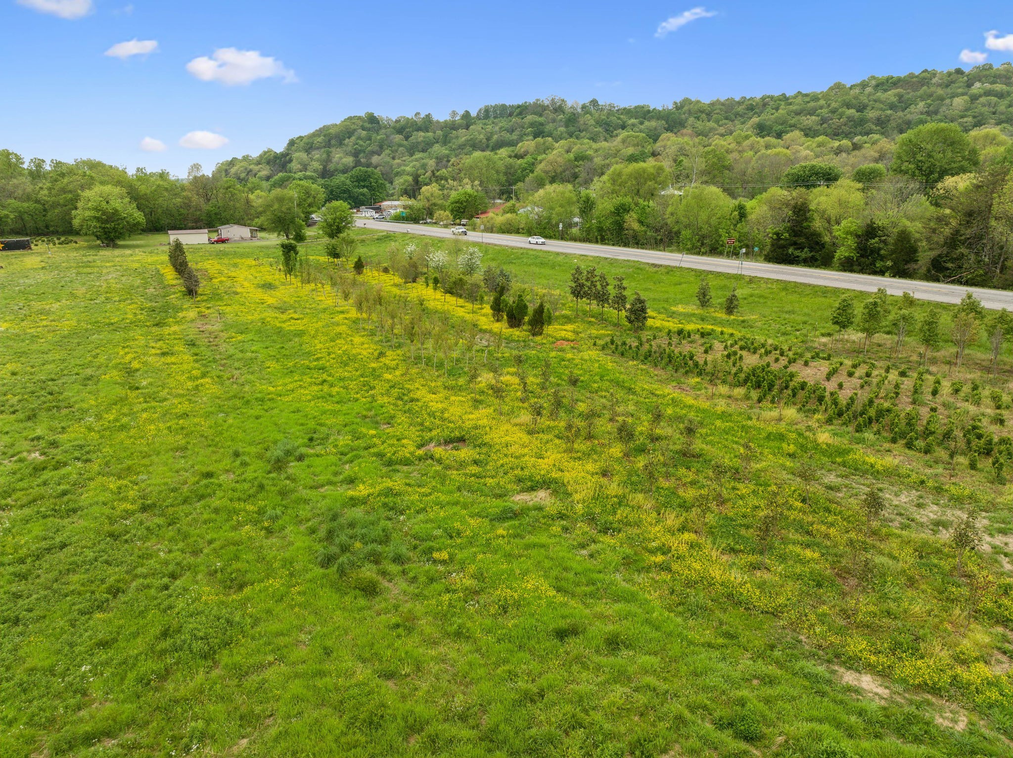 3904 Highway 31 E