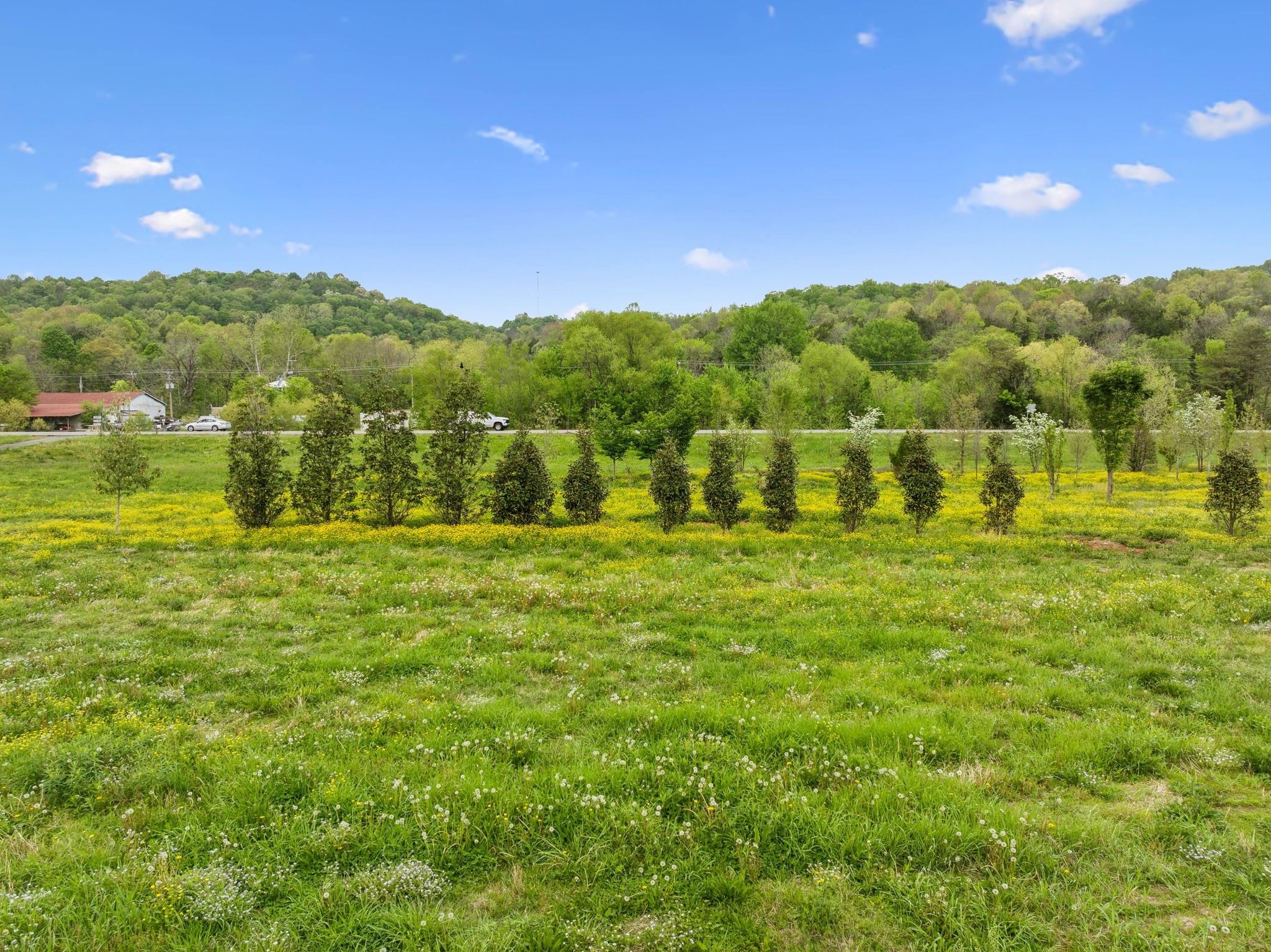 3904 Highway 31 E
