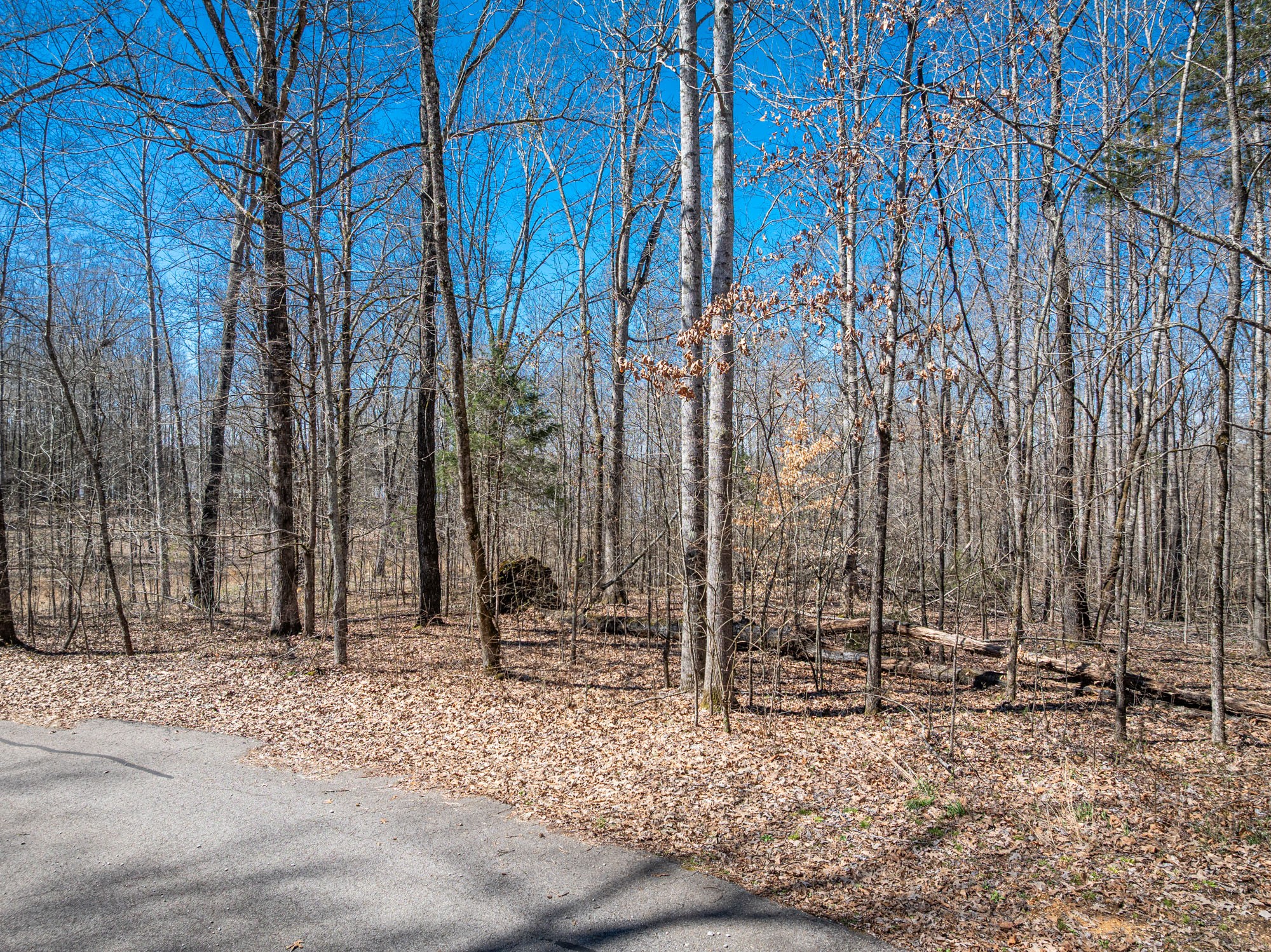 0 Featherfoot PKWY LP