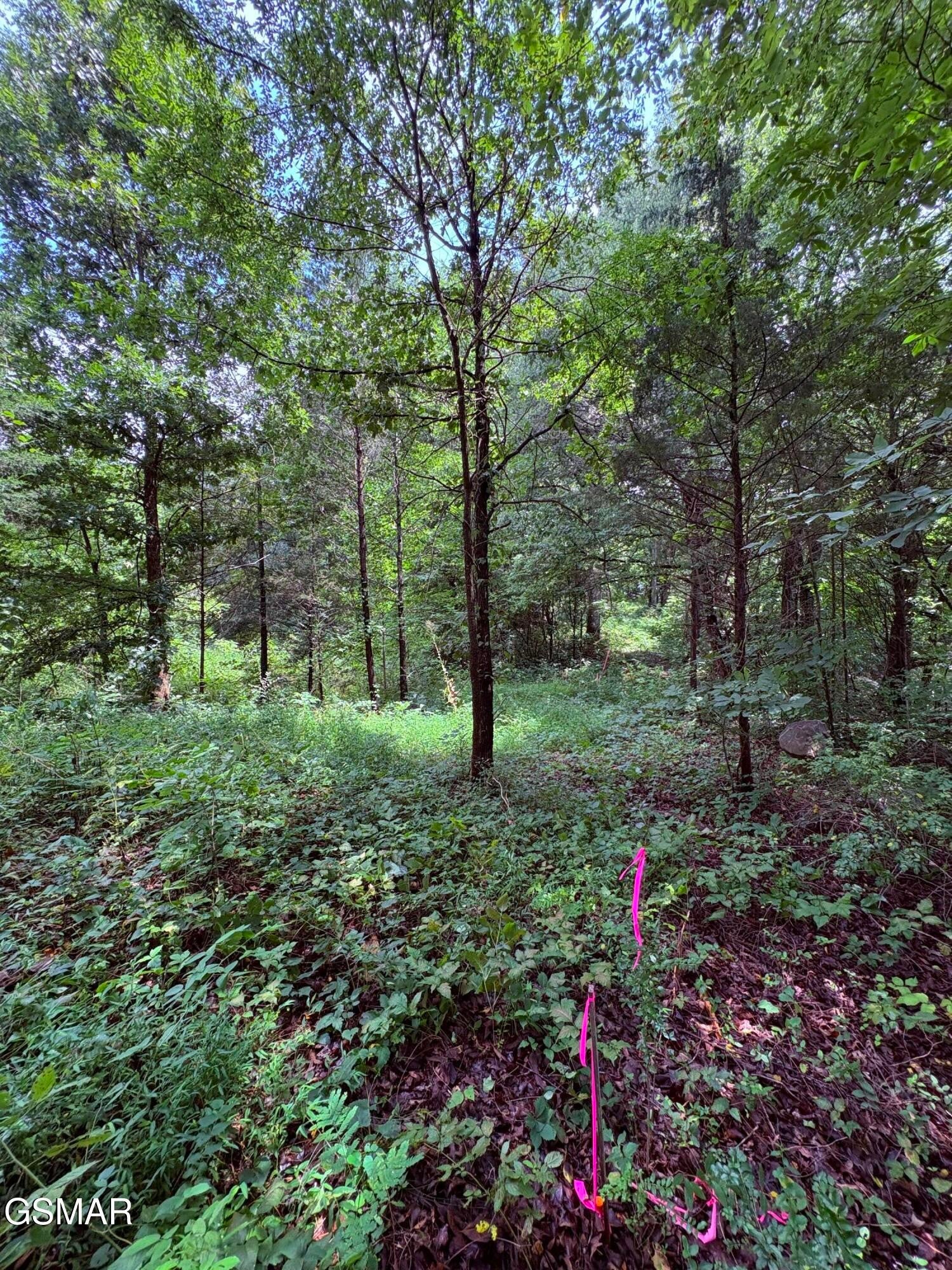 4 Midway Road