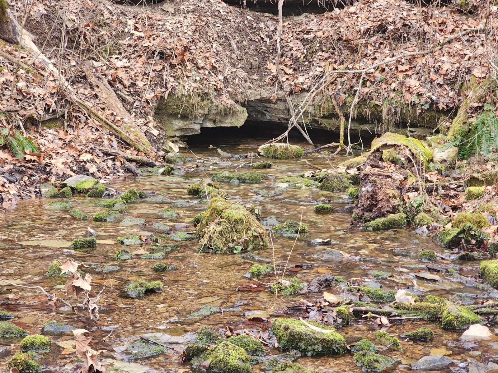 10 Blowing Springs Rd