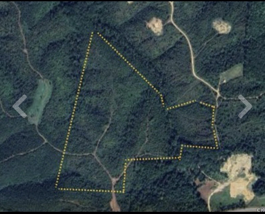 830 Twin Pines Overlook