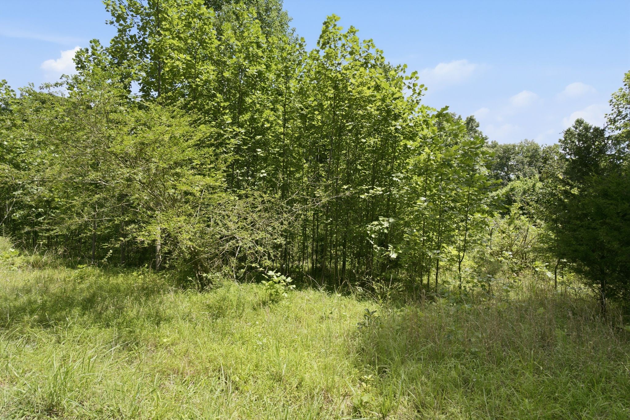 0 Trailwood Court