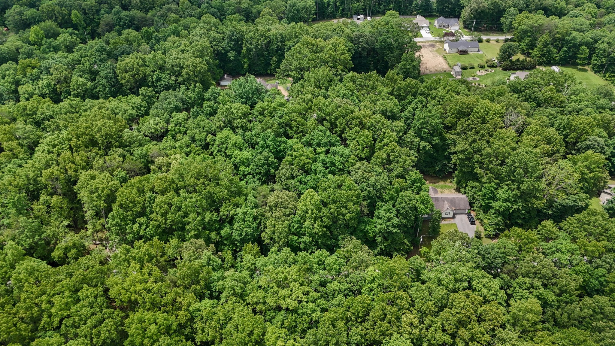 2116 Black Wolf Dr