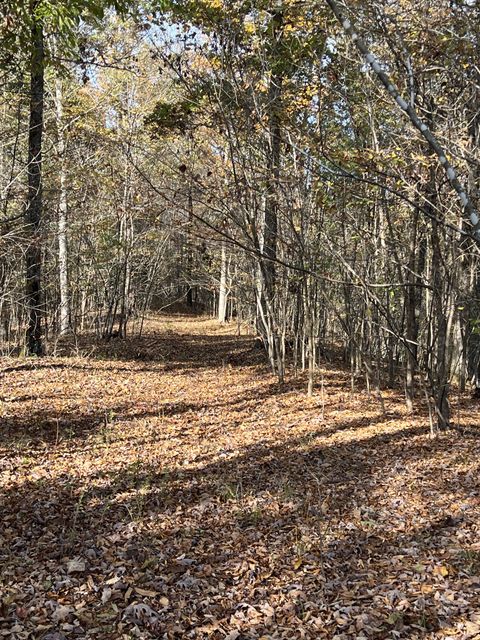 1 Cane Creek Road Hohenwald TN 38462