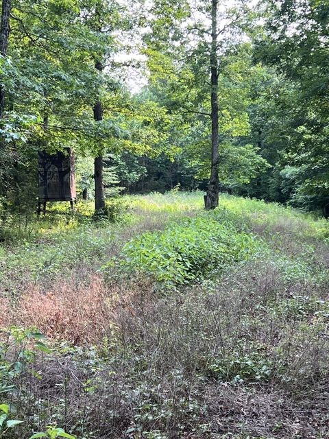 1 Cane Creek Road Hohenwald TN 38462