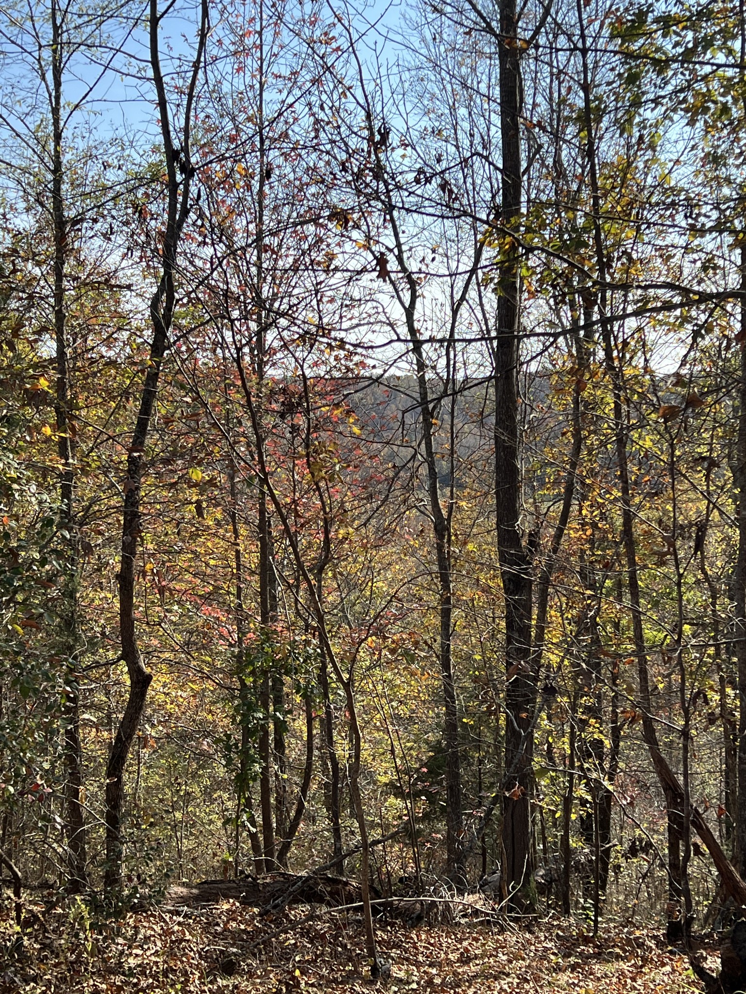 1 Cane Creek Road