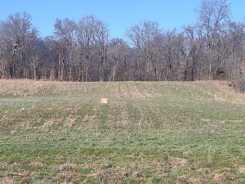 12 Highway161 Springfield TN 37172