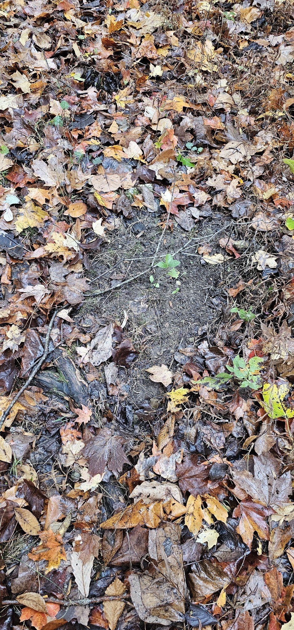 0 Hills Trace Rd