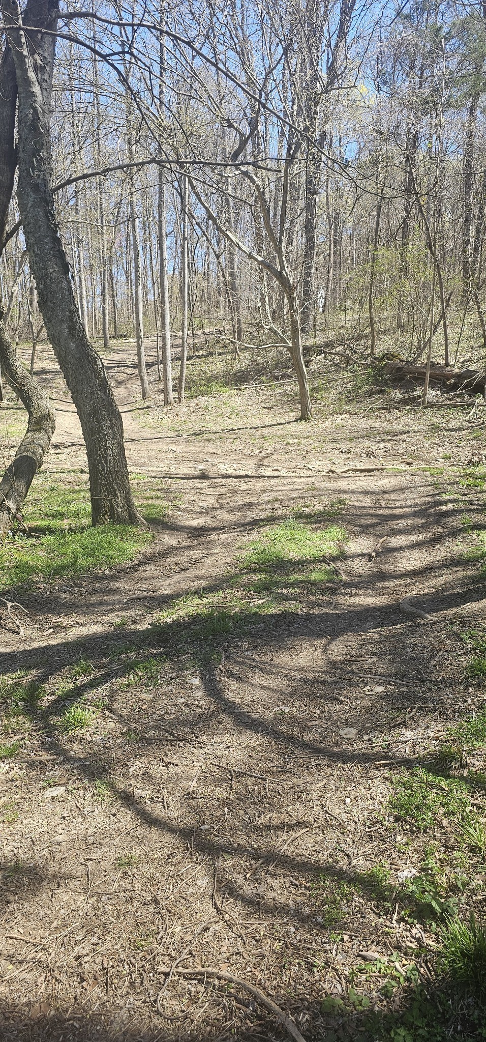 0 Hills Trace Rd
