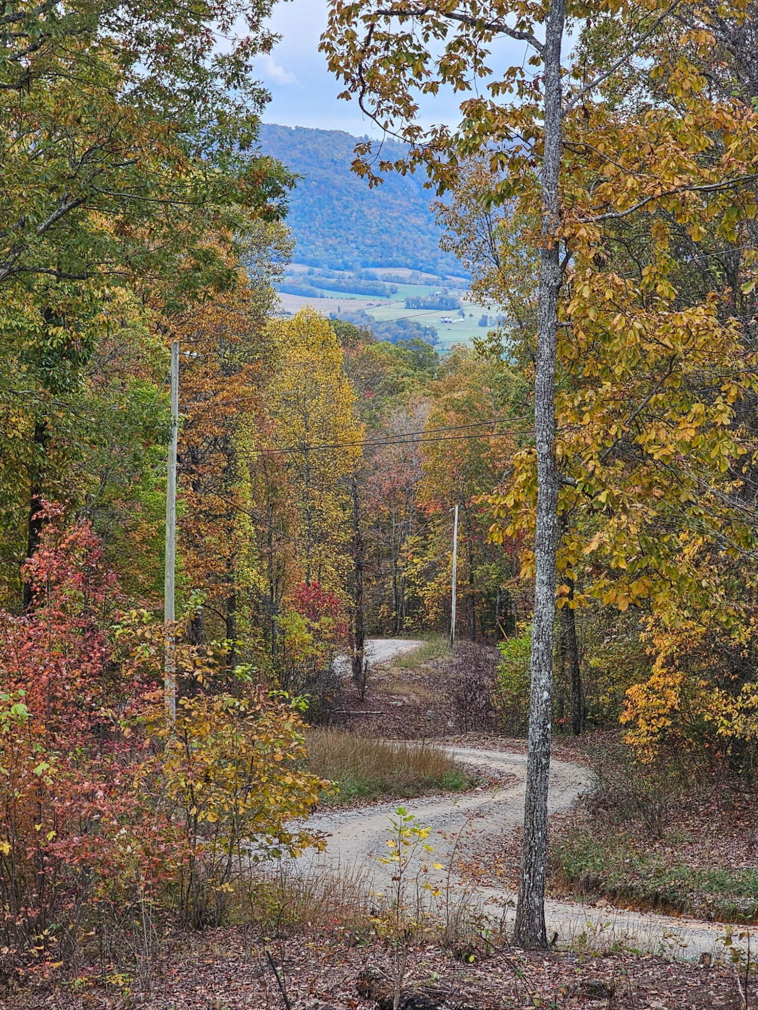 0 Overview Road
